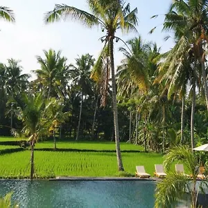 4* Resort Bhanuswari