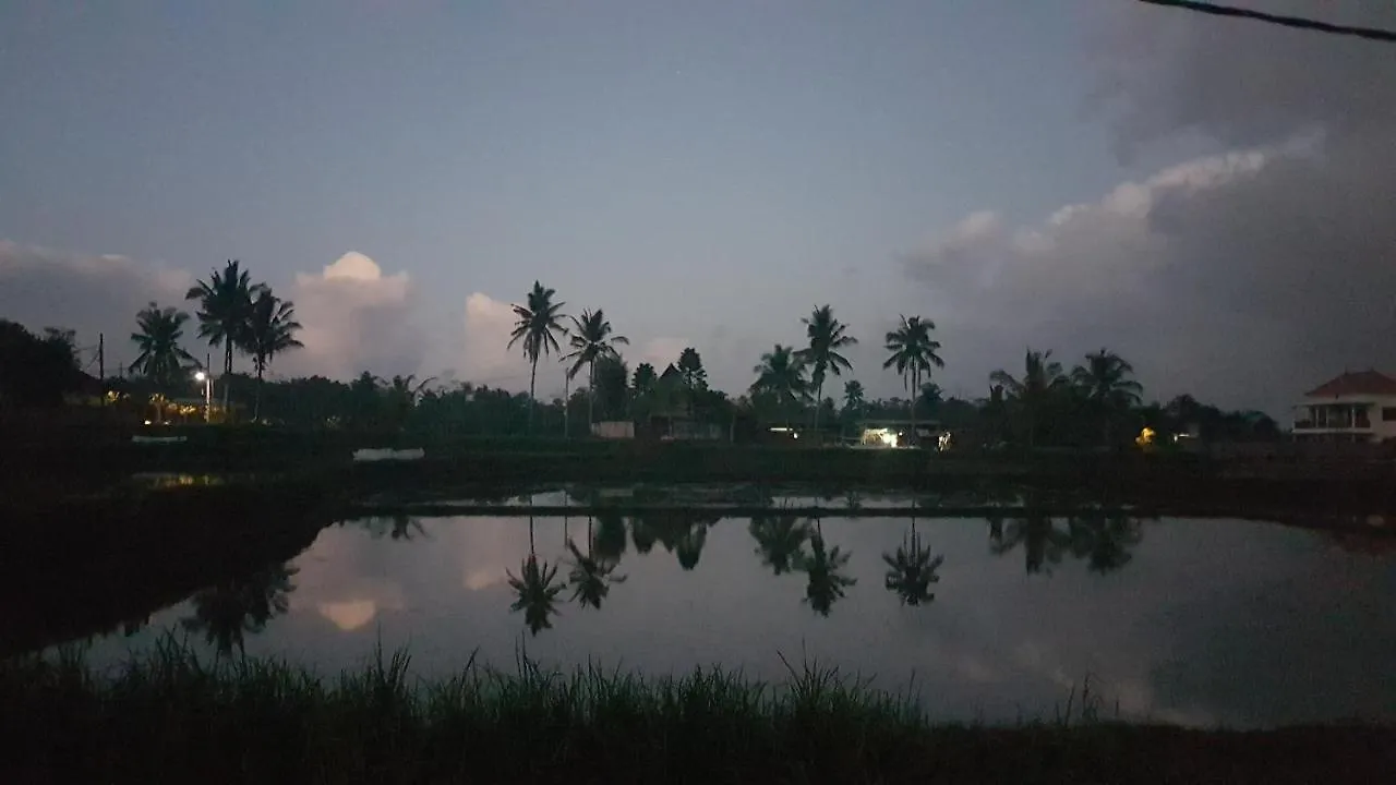 Buda Cottage Ubud 0*, Ubud (Bali) Indonesia