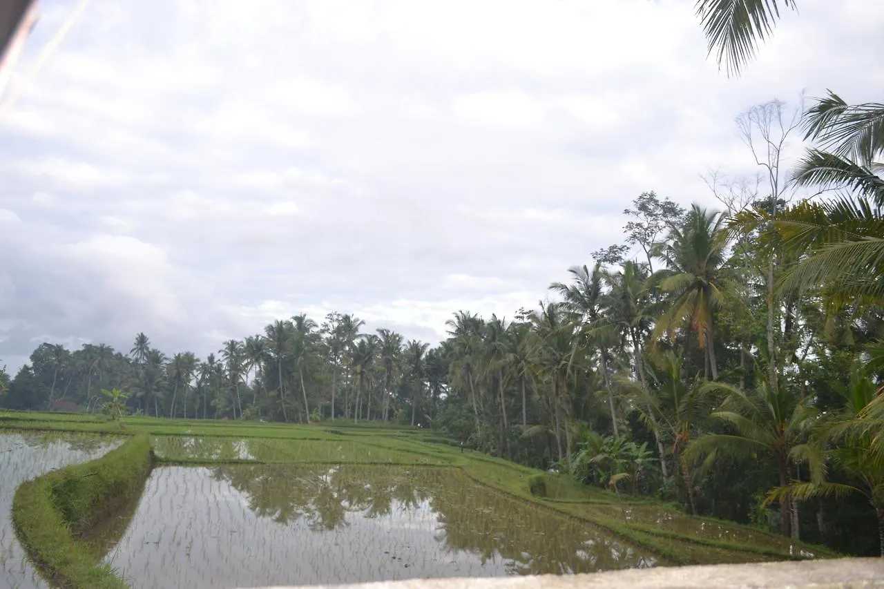 Lodge Buda Cottage Ubud Indonesia